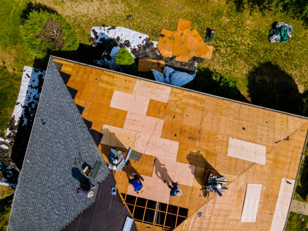 Best Shingle Roofing Installation  in Basin, WY
