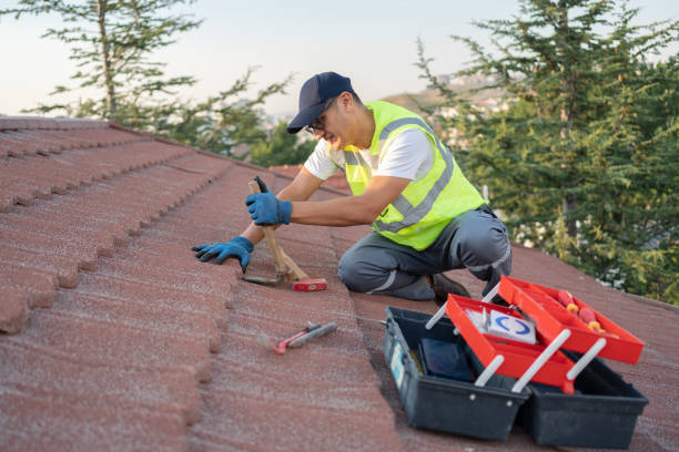 Best Roof Leak Repair  in Basin, WY