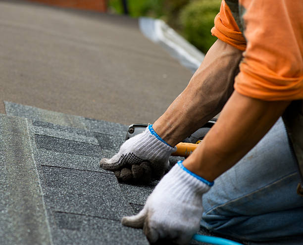 Best Flat Roof Repair Services  in Basin, WY