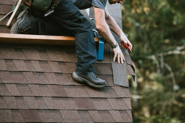 Best Roof Gutter Cleaning  in Basin, WY