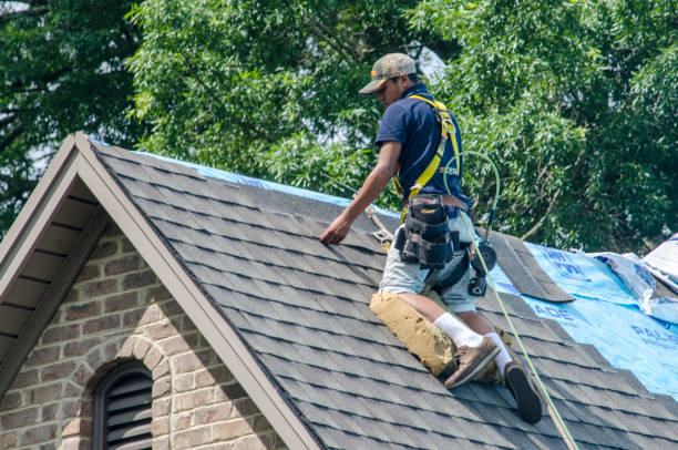 Best Roof Leak Repair  in Basin, WY